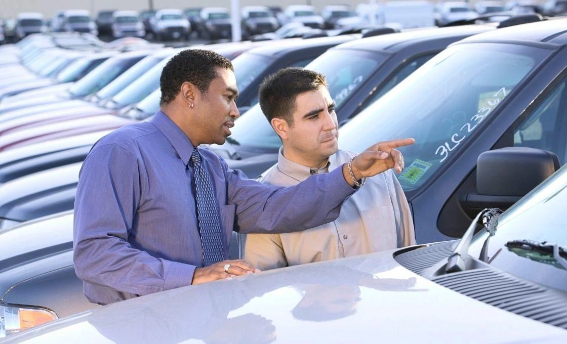 Alto Camino